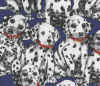 fabrics-dalmation puppies on blue.jpg (185882 bytes)